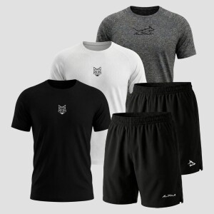 Kit 5 Peças Dry Fit 3 Camisetas e 2 Bermudas Alpha Co com 67% de desconto