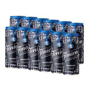 Água Tônica Antarctica, Intense, Lata 350ml, Pack Com 12 Unidades — 17% OFF