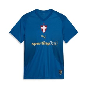 Camiseta Puma Palmeiras Torcedor Third Jersey 26 Azul Masculino: de R$ 429,99 por R$ 233,99