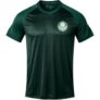 Achamos: Camiseta Palmeiras Home II Masculina por R$ 60,64