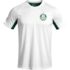 Camiseta Palmeiras 1914 II Masculina: de R$ 89,99 por R$ 42,90