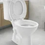 Vaso Sanitário + Caixa Acoplada Hervy Louças Branco por R$ 196,00